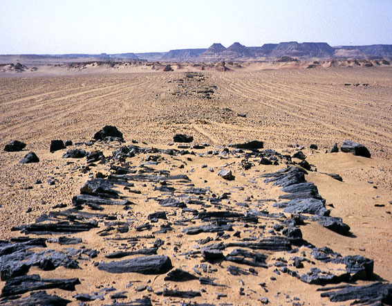 The paved road from Widan el-Faras (background)