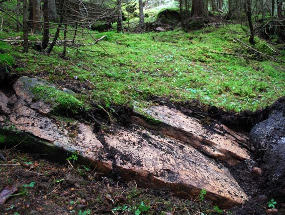 Under the moss: Medieval marble quarry in Central Norway