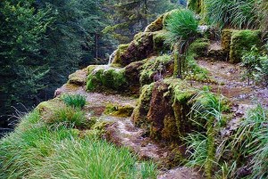 Detail of the terraces at Devil's Church