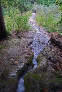 The little brook that sustains Devil's Church