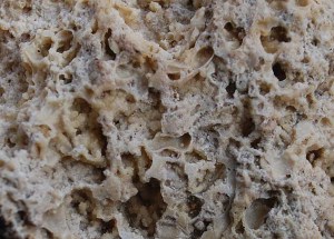 Close-up of the porous tuff from "Tüfels Chilen"
