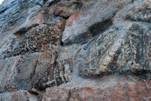 Talc veins standing out from the olivine matrix