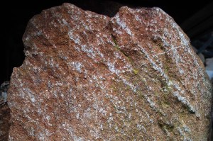 Typical appearance of the olivine stone at Selja. Talc is present in the light-coloured veins that weather less rapidly than the red olivine matrix