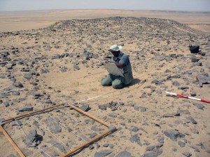 Adel Kelany surveying one of the hundreds of small depressions in Umm es-Sawan. No, its not old huts, but a grinding stone quarry! Adel Kelany surveying one of the hundreds of small depressions in Umm es-Sawan. No, its not old huts, but a grinding stone quarry!