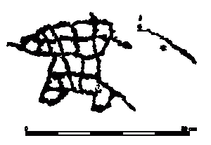 An animal? A net? An idea? A concept?