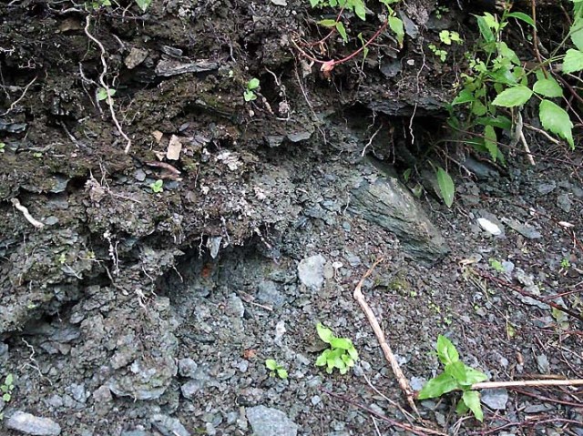 Dyrborg quarry Trondheim