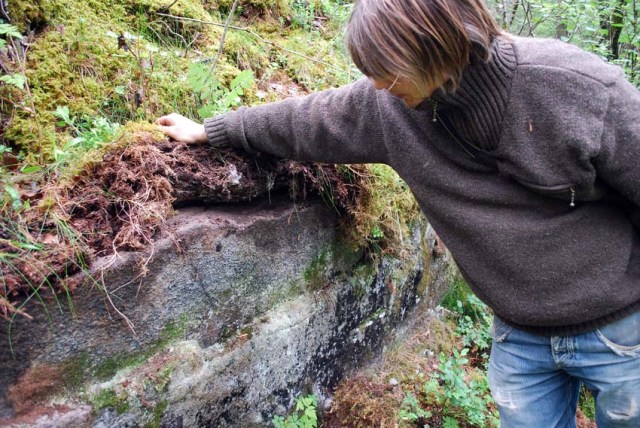 Reinskloster old quarry