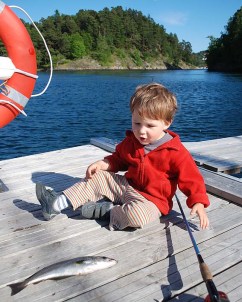 Møllebukta i Neskilen: Fra et Møllebukta i Neskilen: Fra et