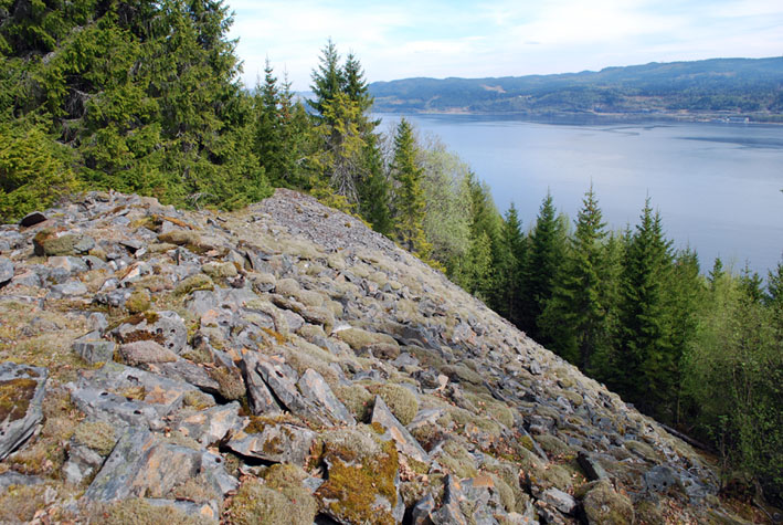 Norway, Almlia (central part): spoil heap in old slate quarry