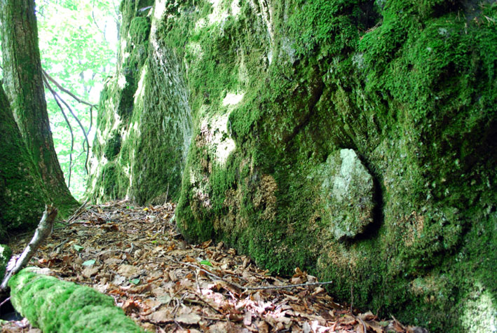 Norway, Hisaasen (south coast): overgrown soapstone vessel quarry