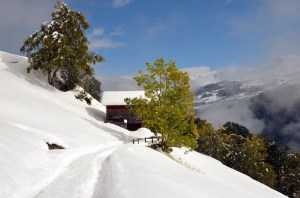 After two days sun comes out and reveals a sparkling white-green winter wonderland