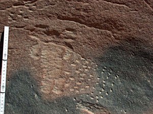 This is how Mickey looks like in reality. Pecked in a little "depression" of colour change, caused by various oxidation states in the Nubian sandstone. Photo: per Storemyr