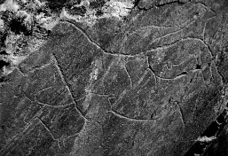 Late Palaeolithic rock art in the Coa Valley in Portugal. Note the similarity in style - and the horse! Source: Henrique Matos, Wikimedia Commons Late Palaeolithic rock art in the Coa Valley in Portugal. Note the similarity in style - and the horse! Source: Henrique Matos, Wikimedia Commons