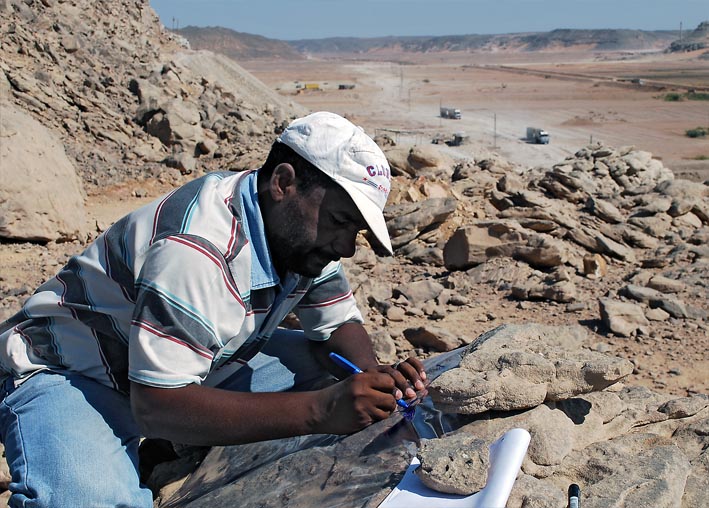 Adel Kamel of the Supreme Council of Antiquities in Aswan recording Late Palaeolithic rock art while heavy trucks are transporting clay for the Egyptian ceramics industry in the background. Photo: Per Storemyr