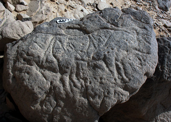 A superbly made Late Palaeolithic auroch. Photo: Per Storemyr