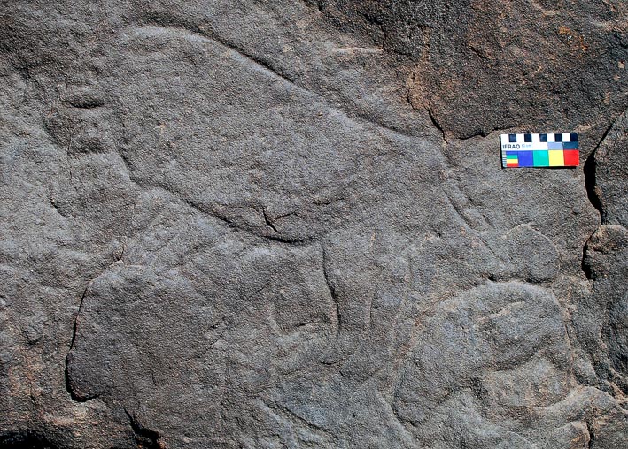 Headless auroch and small hippo. Photo: Per Storemyr