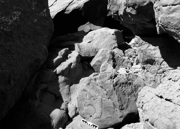 Part of a hippo among the boulders in Subeira. Photo: Per Storemyr
