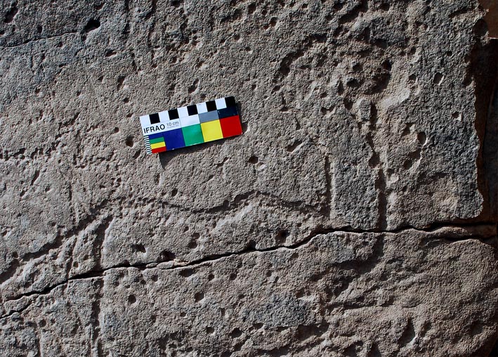 A hartebeest. Photo: Per Storemyr