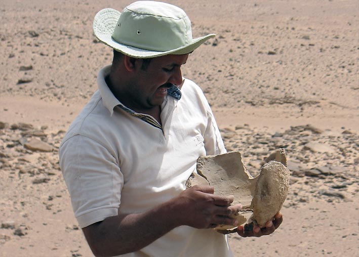 Adel Kelany with pottery found in Subeira: Photo: Per Storemyr