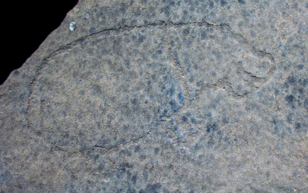 The Late Palaeolithic happy hippo in Wadi Abu Subeira. Photo: Per Storemyr The Late Palaeolithic happy hippo in Wadi Abu Subeira. Photo: Per Storemyr