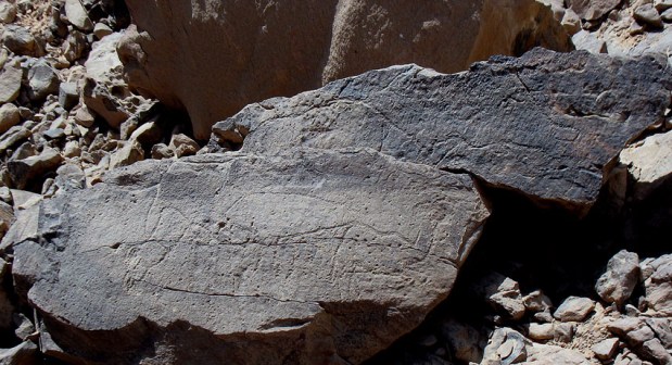 Broken boulder with Late Palaeolithic rock art in Subeira: A fish (top) and a hartebeest (below, right) can be seen. Photo: Per Storemyr Broken boulder with Late Palaeolithic rock art in Subeira: A fish (top) and a hartebeest (below, right) can be seen. Photo: Per Storemyr