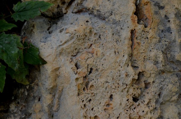 Material for traditional lime burning in Surselva was primarily provided from occurrences of dolomitic lime, in particular cellular dolomite or Rauwacke in German. This is a dolomitic limestone that contains gypsum or anhydrite, which upon dissolution in water leaves a very porous stone. Such stone has properties like tufa and is a renowned building stone. Photo: Per Storemyr