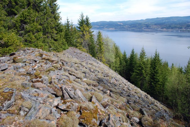The Almlia quartzite slate quarries about 30 km west of Trondheim. The picture shows one of the great spoil heaps from early-modern production. Photo: Per Storemyr