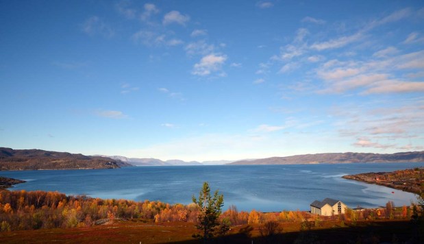 The Hjemmeluft rock art site as seen towards the north from Alta Museum. The rock art is located at both sides of the bay. Photo: Per Storemyr