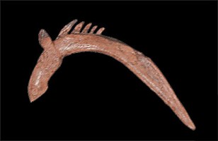 A c. 40 com long elk-headed pole made from bone from a 7500 year old burial site in Russian Karelia. Digitally enhanced photo of poster exhibited at Alta Museum.