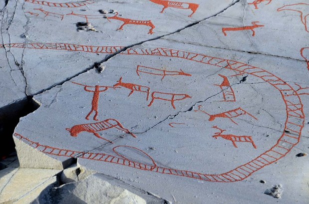 Human with spear apparently killing reindeer within part of the large corral at the panel Bergbukten I at Alta. Beside the human is also an elk. Photo: Per Storemyr