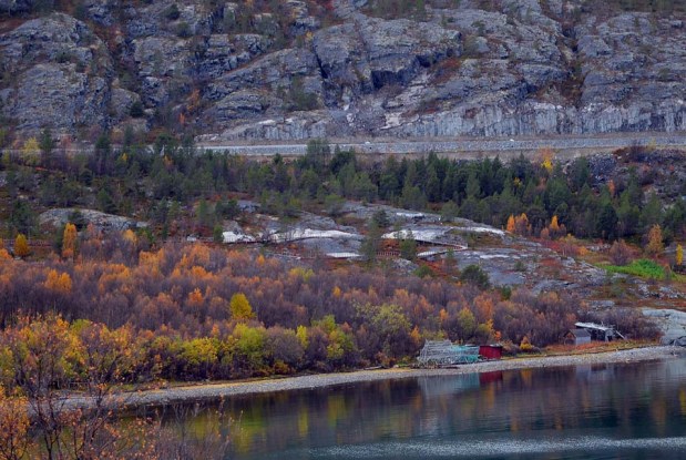 Rock art sites at the western part of Hjemmeluft. There are three visible levels as indicated by the light, lichen-free rock above the current shore line. These levels represent ancient shorelines that can be dated. Photo: Per Storemyr