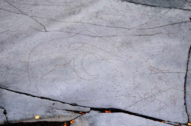 A big bear in the Hjemmeluft rock art. Photo: Per Storemyr