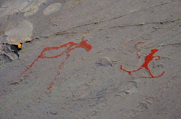 Person on skies possibly hunting elk. Photo: Per Storemyr