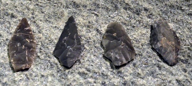 Arrow heads from dark chert, found during excavations of habitation sites, now exhibited at Alta Museum. Photo: Per Storemyr