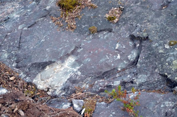 Possible traces of firesetting at the Melsvik chert quarry: Convex, superficial scar at sub-horizontal surfaces. Photo: Per Storemyr