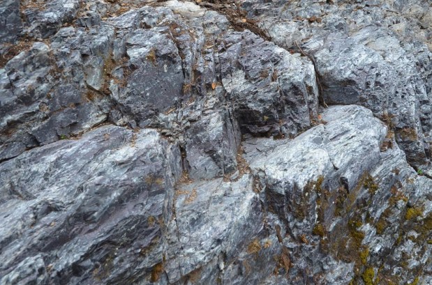 Bigger steps at Melsvik, perhaps evidence of a variety of the 