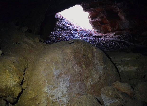 Abandoned, early-modern millstone rough-out, intended for a water mill, in the Villnachern quarry landscape by Brugg in Canton Aargau, Switzerland. Photo: Per Storemyr