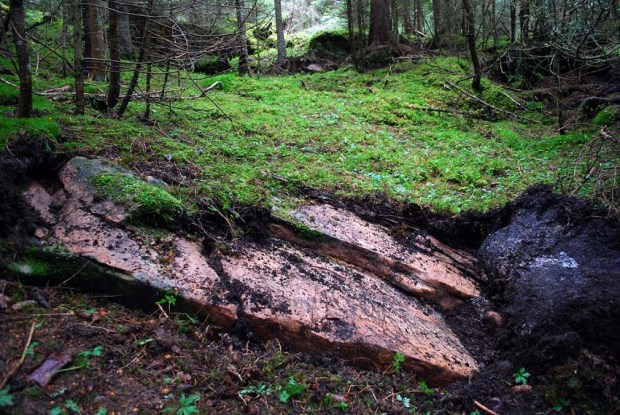 Medieval marble quarry under the moss at Sparbu, Central Norway. Photo: Per Storemyr