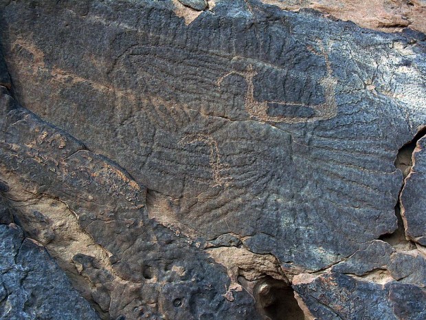 A complex geometric figure from Wadi Umm Salam (site SAL 12) in the Upper Egyptian Eastern Desert. Site originally found by the Eastern Desert Survey by "The Followers of Horus" in the 1990s. Photo: Per Storemyr