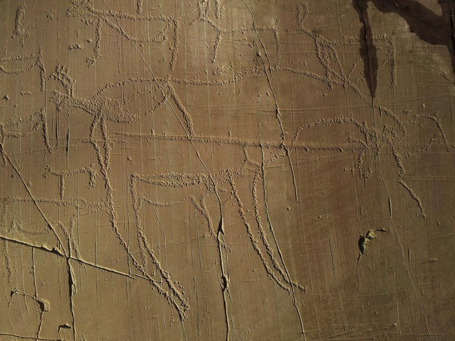 Norway: A big elk at the rock art site at Kåfjord, near Alta in the northernmost part of the country. This is a place where I carried out weathering and conservation studies with the Alta Museum in 2013. Photo: Per Storemyr.