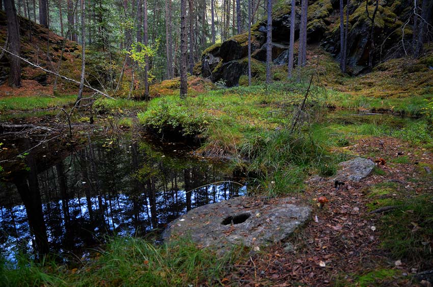 Norway: Another millstone quarry among the impressive range of sites from the Viking Age and Middle Ages. This time it is Toldstadberget in the central, eastern part of the country. Photo: Per Storemyr