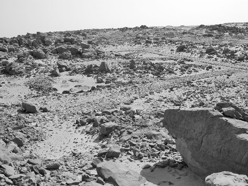 Typical New Kingdom paved quarry roads on top of Gebel Gulab, originating at specific extraction places and joining other roads. Photo: Per Storemyr