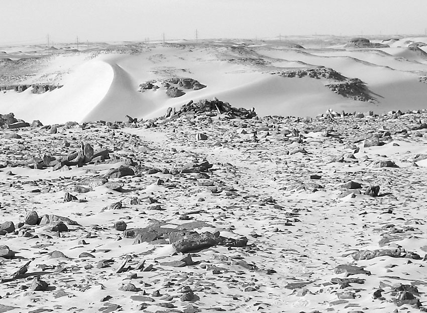 The central field of upright stones at the southern margin of Wadi el-Faras, looking north. A well-worn path leads to a stone circle in the middle of the plateau. Photo: Per Storemyr