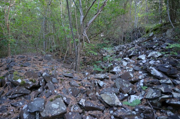 Fra det største diabasbruddet på Hovedøya. Her ser vi store hauger med stein som har blitt sortert etter deres størrelse. Helt til venstre er en haug med pukkstein. Foto: Per Storemyr.