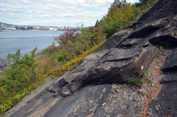 Parti av det store sandsteinsbruddet nordvest på Hovedøya. Foto: Per Storemyr
