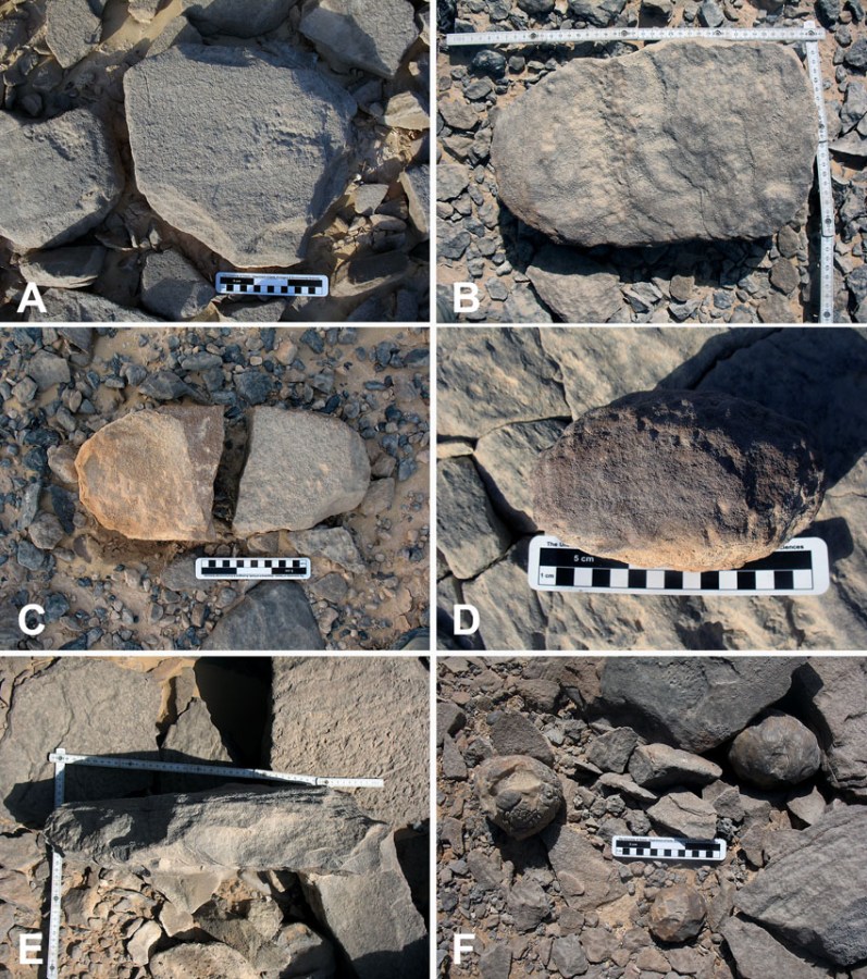 Artefacts in the grinding stone quarries. A) and B) Broken lower grinding stone rough-outs. These are the most common artefacts in the quarries, C) Rare example of elongated, oval rough-out, D) sandstone, E) Photo indicating thickness (ca. 10 cm) of a lower grinding stone rough-out, F) Flint hammerstones in the quarries. Small scale is 15 cm long, folding carpenter’s ruler 50 cm in each direction. Photos: Per Storemyr.