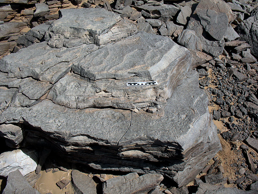 Unworked block indicating how the silicified sandstone splits along bedding planes. Photo: Per Storemyr.