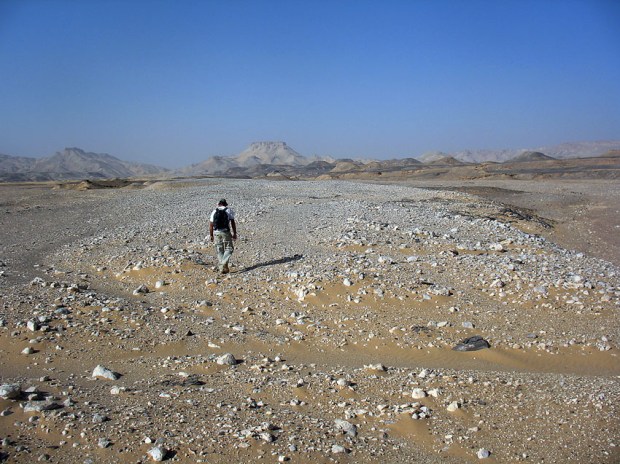 On the way to discovery of the first reported prehistoric grinding stone quarry in the Egyptian Sahara. Dirk Huyge walks the stony desert. Photo: Per Storemyr.