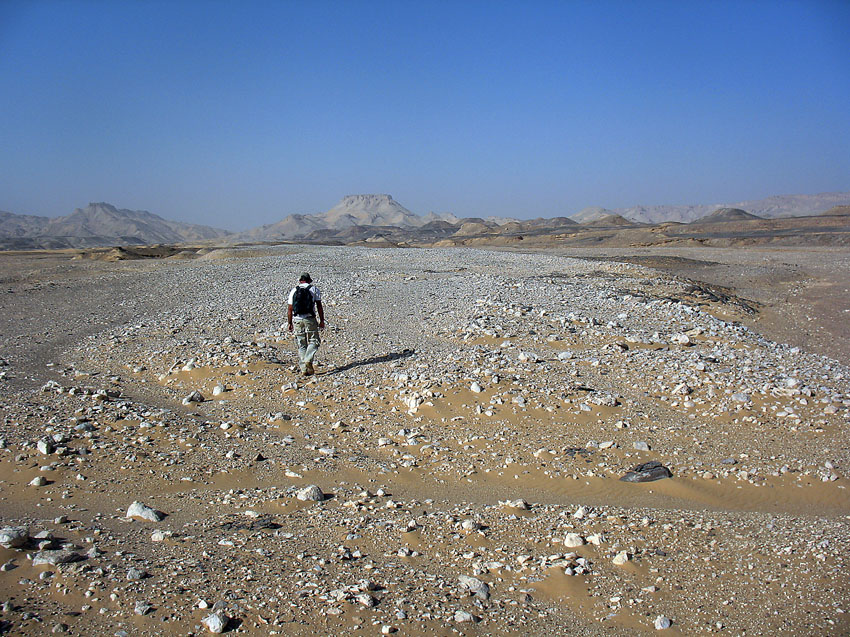 On the way to discovery of the first reported prehistoric grinding stone quarry in the Egyptian Sahara. Dirk Huyge walks the stony desert. Photo: Per Storemyr.