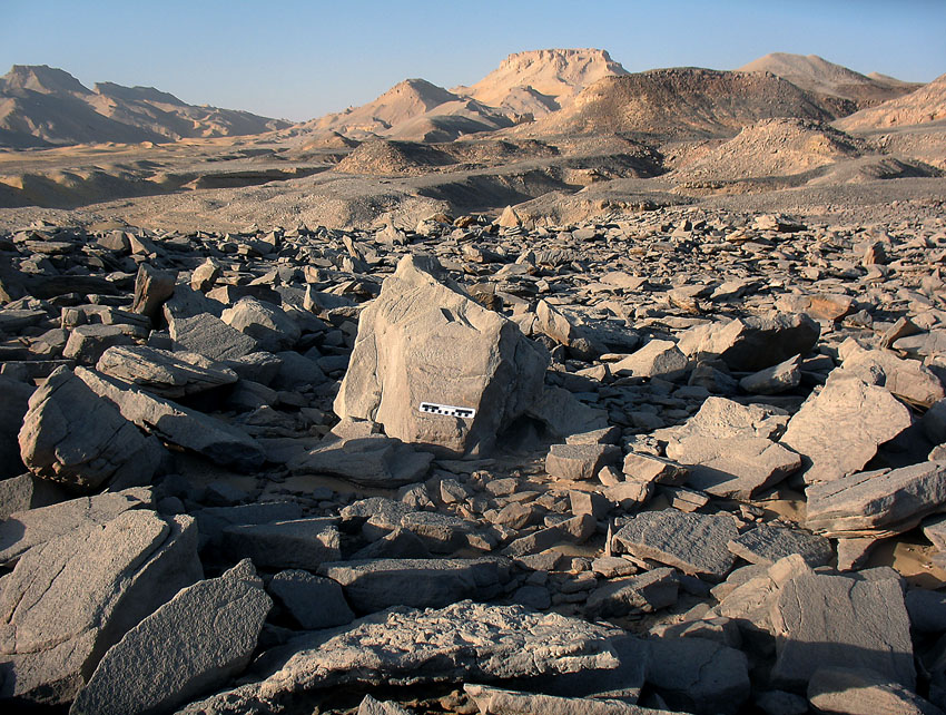 The grinding stone quarry by the north scarp: a work area lined with broken slabs. Scale is 15 cm long. Photo: Per Storemyr